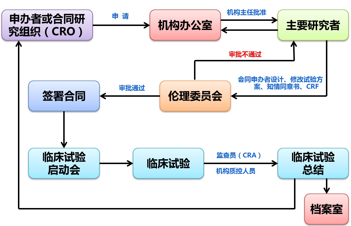 临床试验工作流程